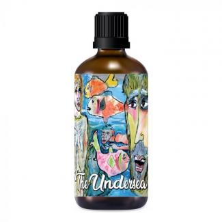Aftershave The Undersea 100ml – Ariana & Evans
